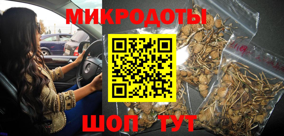 Богданович  наркошоп  Вход с VPN  Псилоцибиновые грибы Psilocybine cubensis 