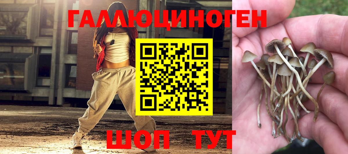Псилоцибиновые грибы Magic Shrooms Богданович
